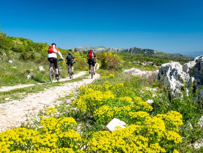 Radurlaub in Porec © Shutterstock
